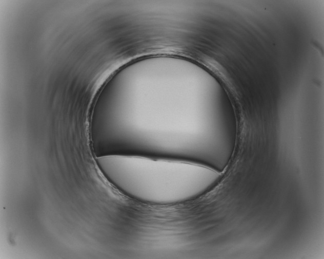 X0000101701332200807101528