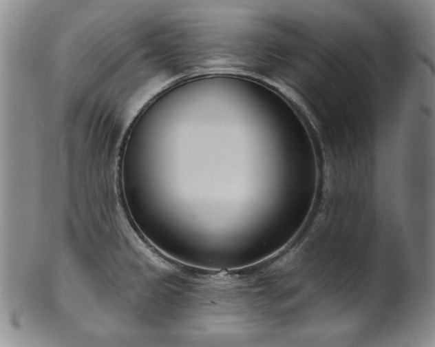 X0000101701333200807101528