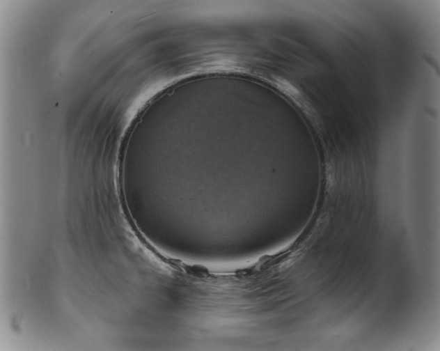 X0000101701334200807101528