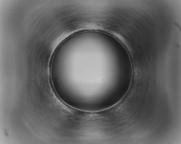 X0000101701335200807101528