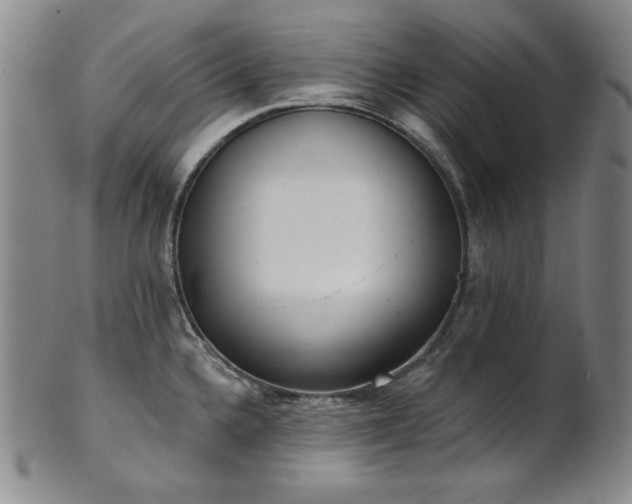 X0000101701336200807101528