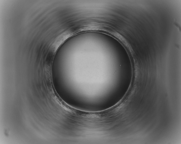 X0000101701337200807101528
