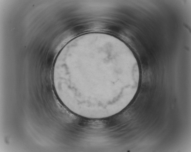 X0000101701338200807101528