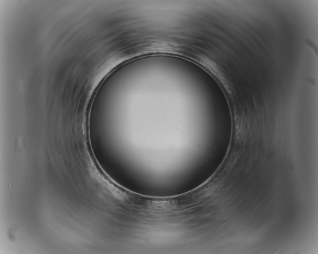 X0000101701339200807101528
