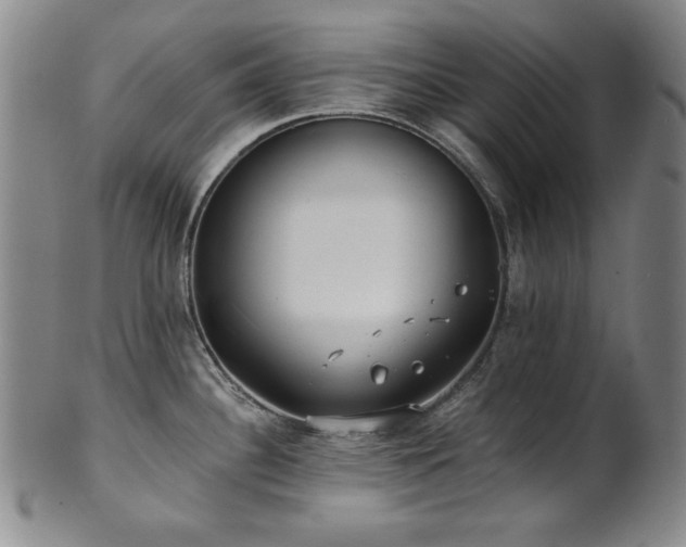 X0000101701340200807101528
