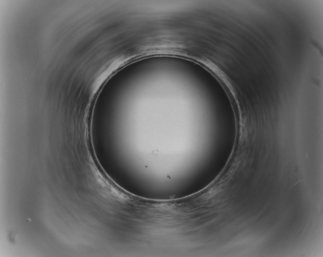 X0000101701341200807101528