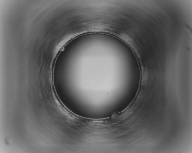 X0000101701342200807101528
