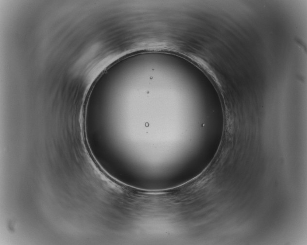 X0000101701343200807101528