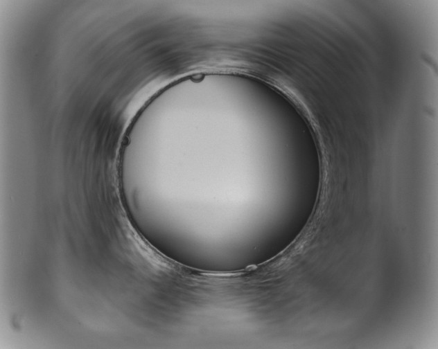 X0000101701344200807101528