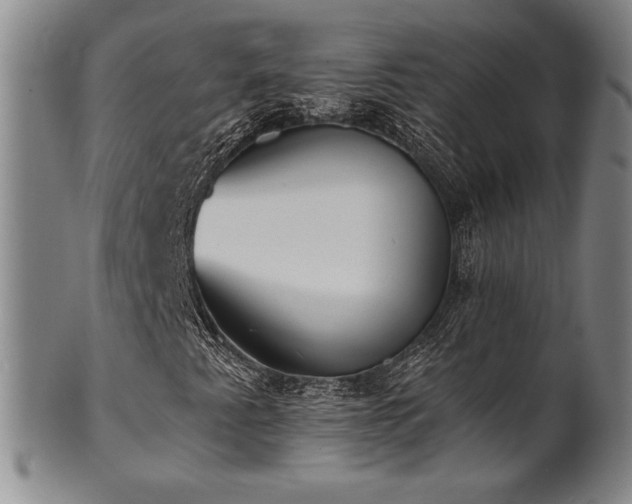 X0000101701345200807101527