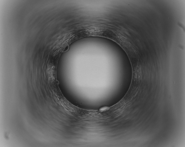 X0000101701346200807101527