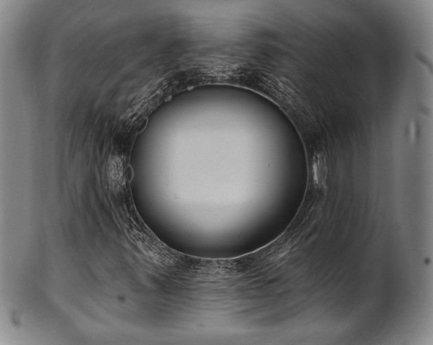 X0000101701347200807101527
