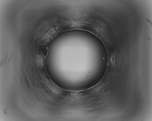 X0000101701348200807101527