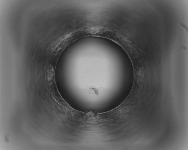 X0000101701349200807101527