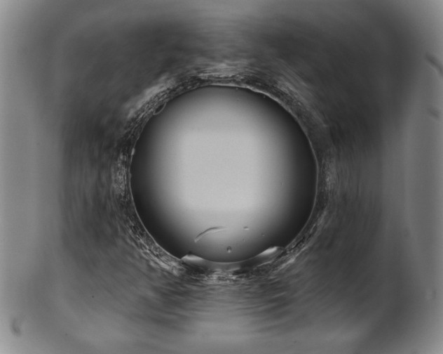X0000101701350200807101527