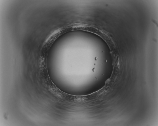 X0000101701351200807101527