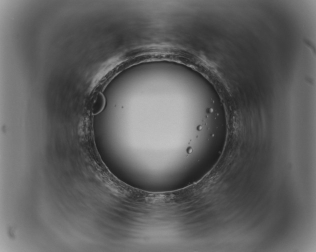 X0000101701352200807101527