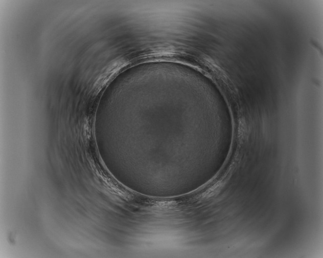 X0000101701353200807101527