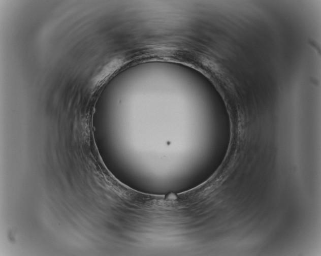 X0000101701354200807101527