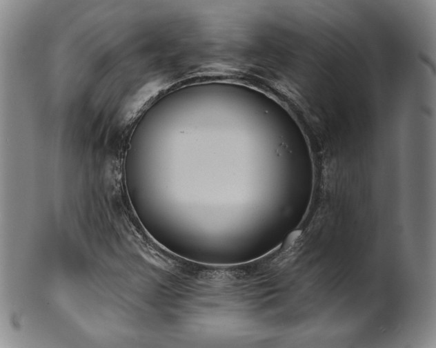 X0000101701355200807101527