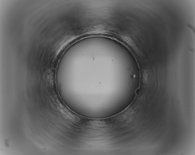 X0000101701356200807101527