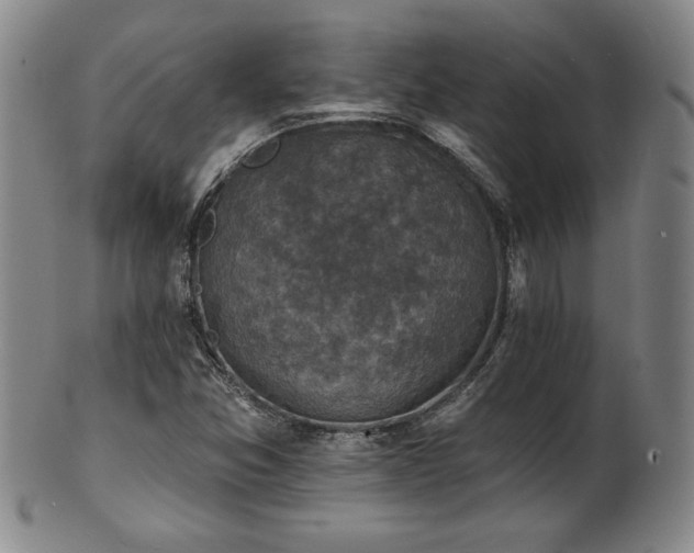 X0000101701357200807101527
