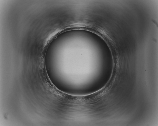 X0000101701358200807101527