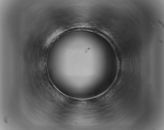 X0000101701359200807101527