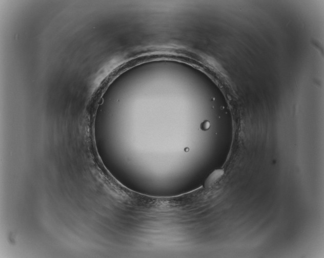 X0000101701360200807101527