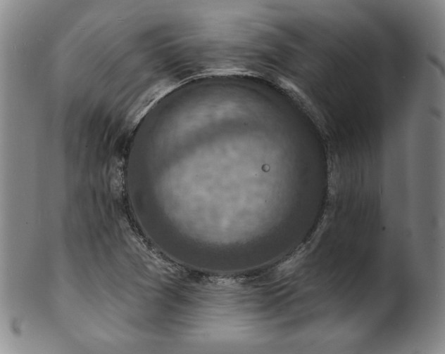 X0000101701361200807101527