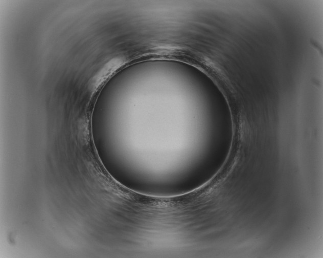 X0000101701362200807101527