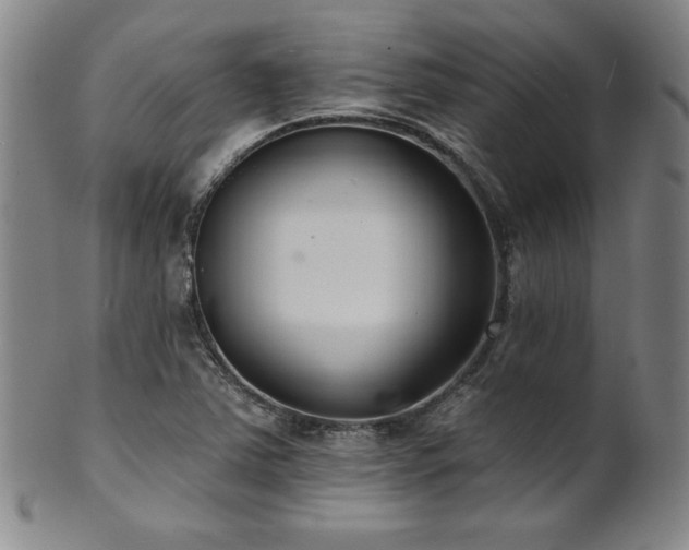X0000101701363200807101527