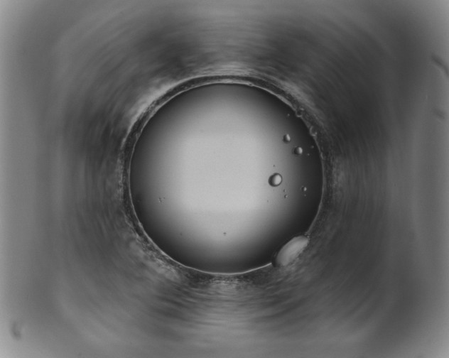 X0000101701364200807101527
