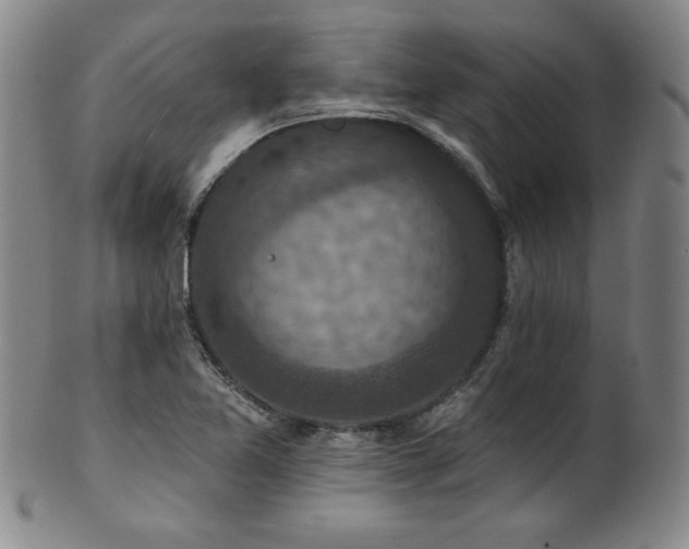 X0000101701365200807101527