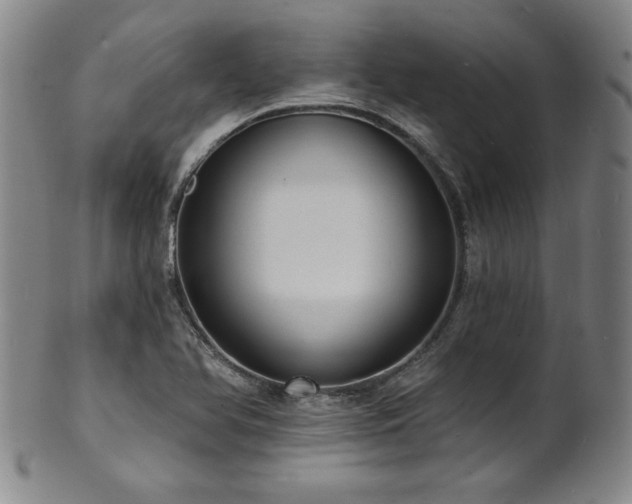 X0000101701366200807101527