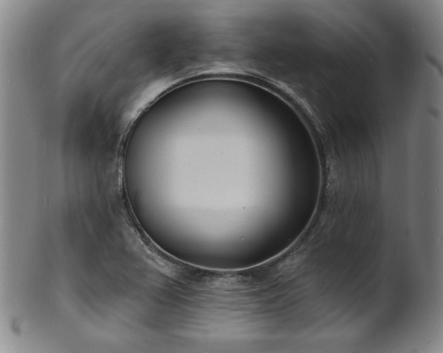X0000101701367200807101527