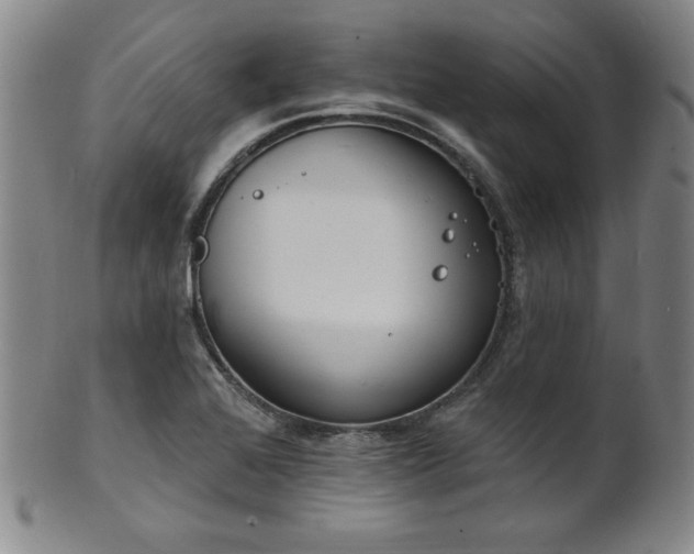 X0000101701368200807101527