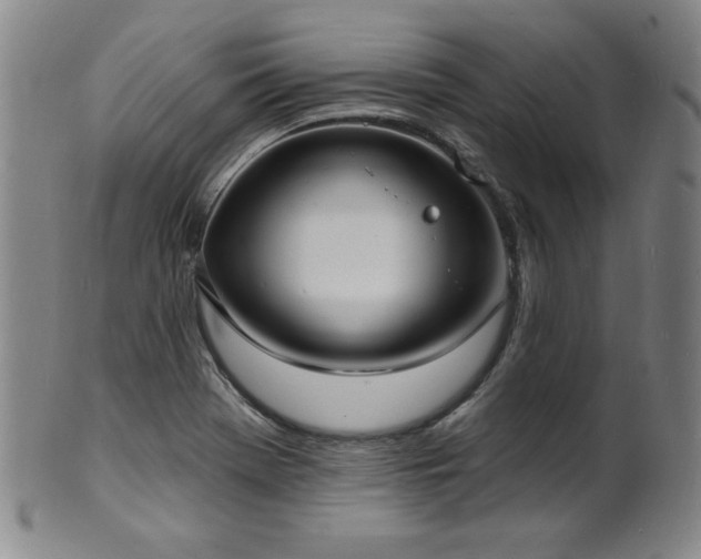 X0000101701369200807101527