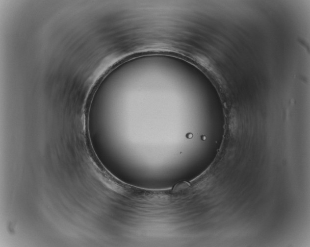 X0000101701372200807101527