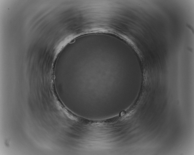 X0000101701373200807101527