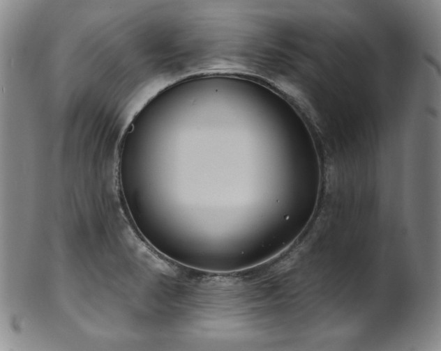 X0000101701374200807101527