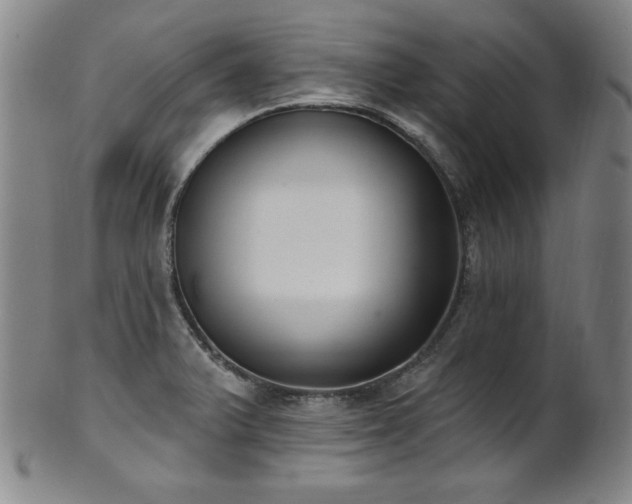 X0000101701375200807101527