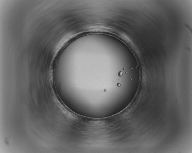 X0000101701376200807101527