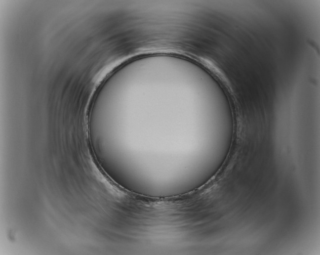 X0000101701380200807101527