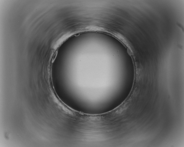 X0000101701381200807101526