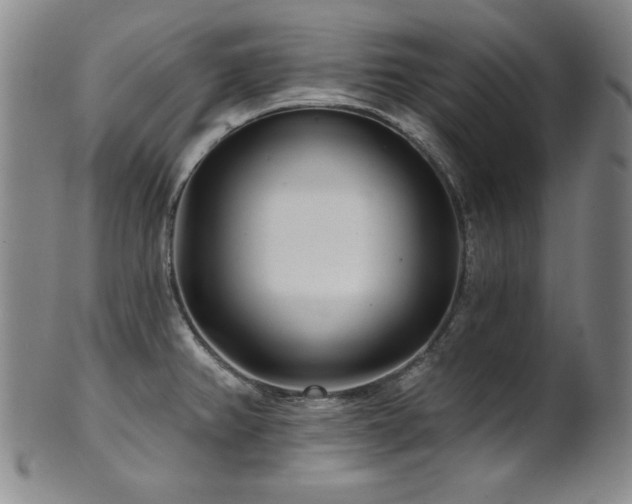 X0000101701382200807101526