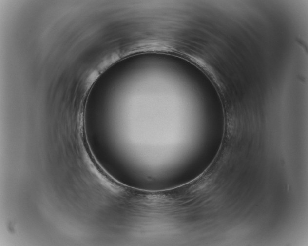 X0000101701383200807101526