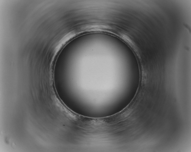 X0000101701384200807101526