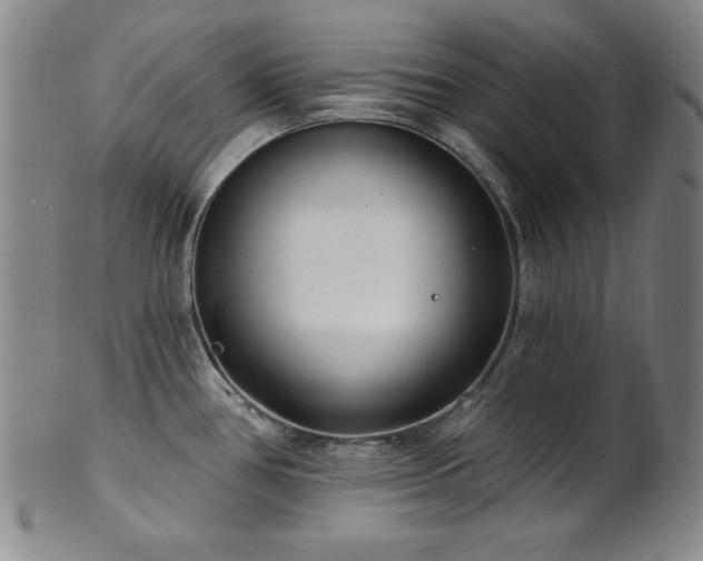 X0000101701386200807101526