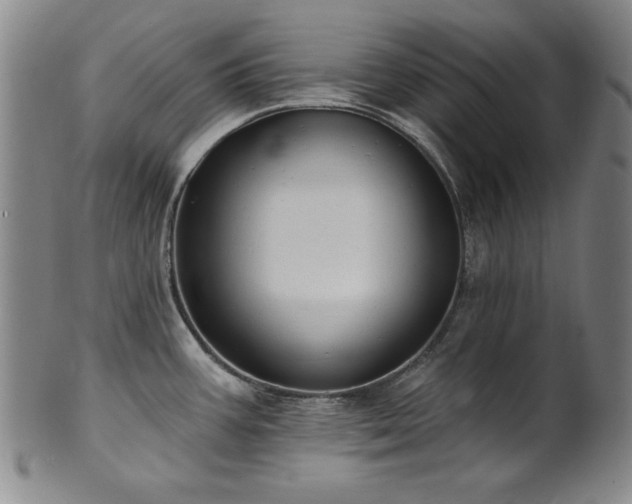 X0000101701387200807101526